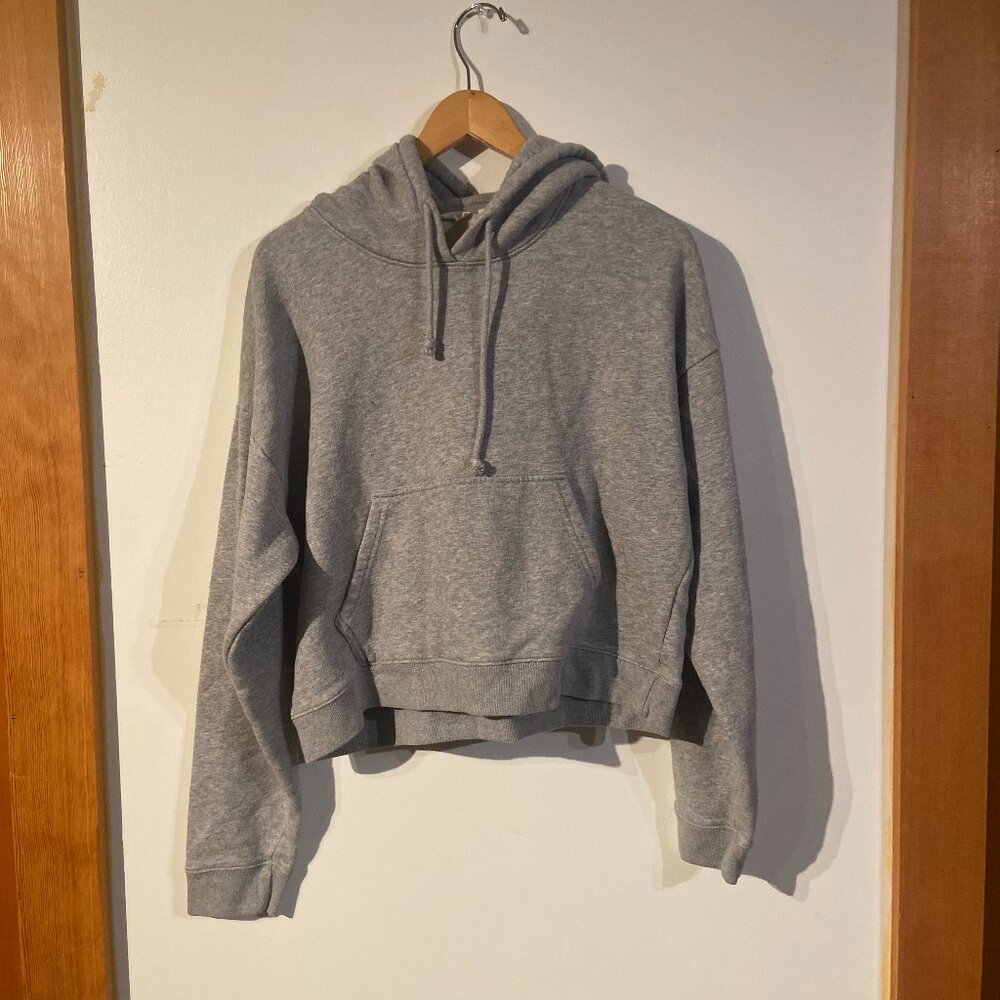 Aritzia TNA Cropped Hoodie